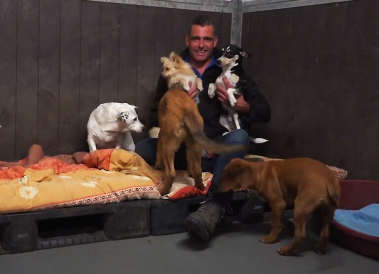 Marcel's Doggy Farm Bodegraven Reeuwijk