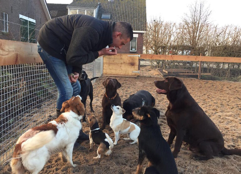Marcel's Doggy Farm Bodegraven Reeuwijk