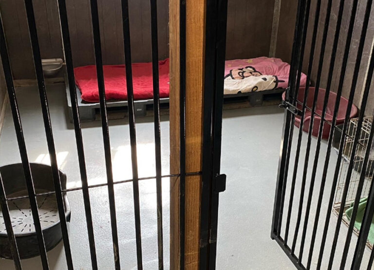 Marcel's Doggy Farm Bodegraven Reeuwijk