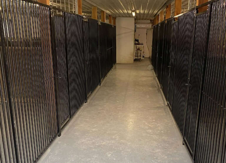 Marcel's Doggy Farm Bodegraven Reeuwijk