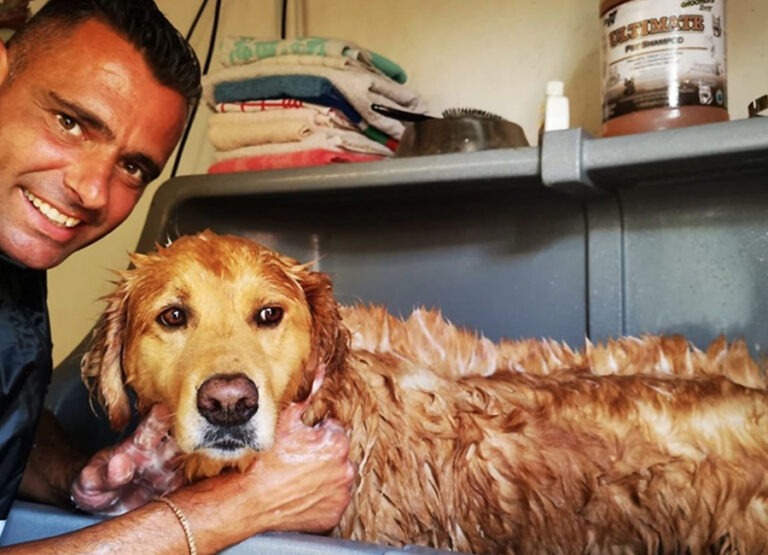 Marcel's Doggy Farm Bodegraven Reeuwijk