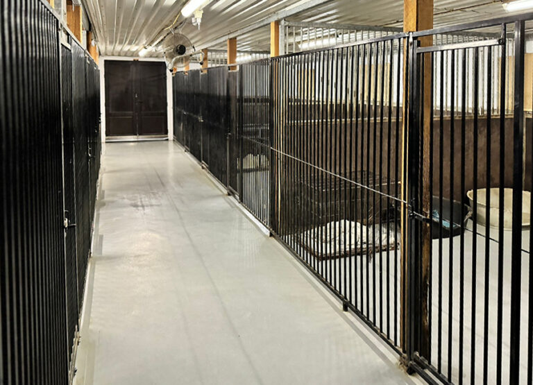 Marcel's Doggy Farm Bodegraven Reeuwijk