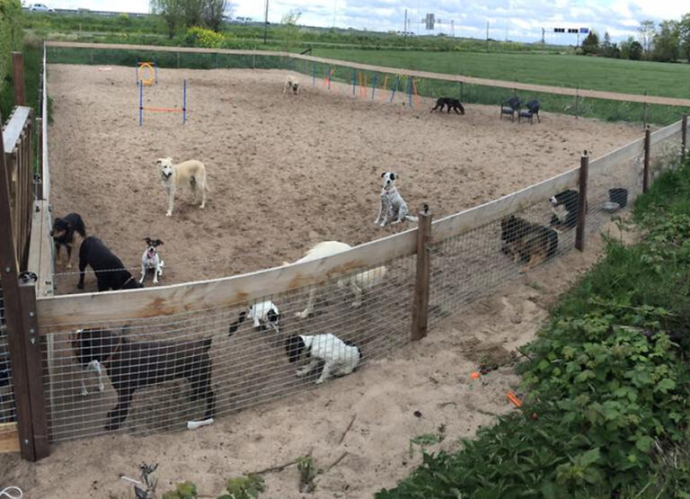 Marcel's Doggy Farm Bodegraven Reeuwijk