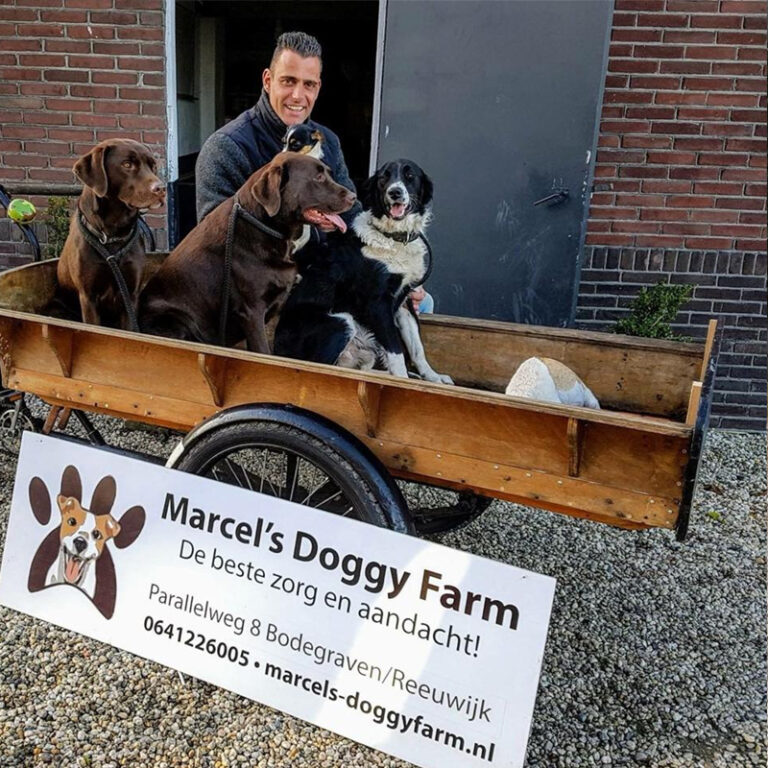 Marcel's Doggy Farm Bodegraven Reeuwijk