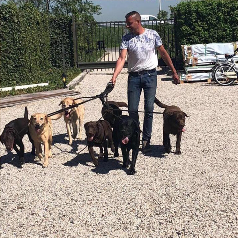 Marcel's Doggy Farm Bodegraven Reeuwijk