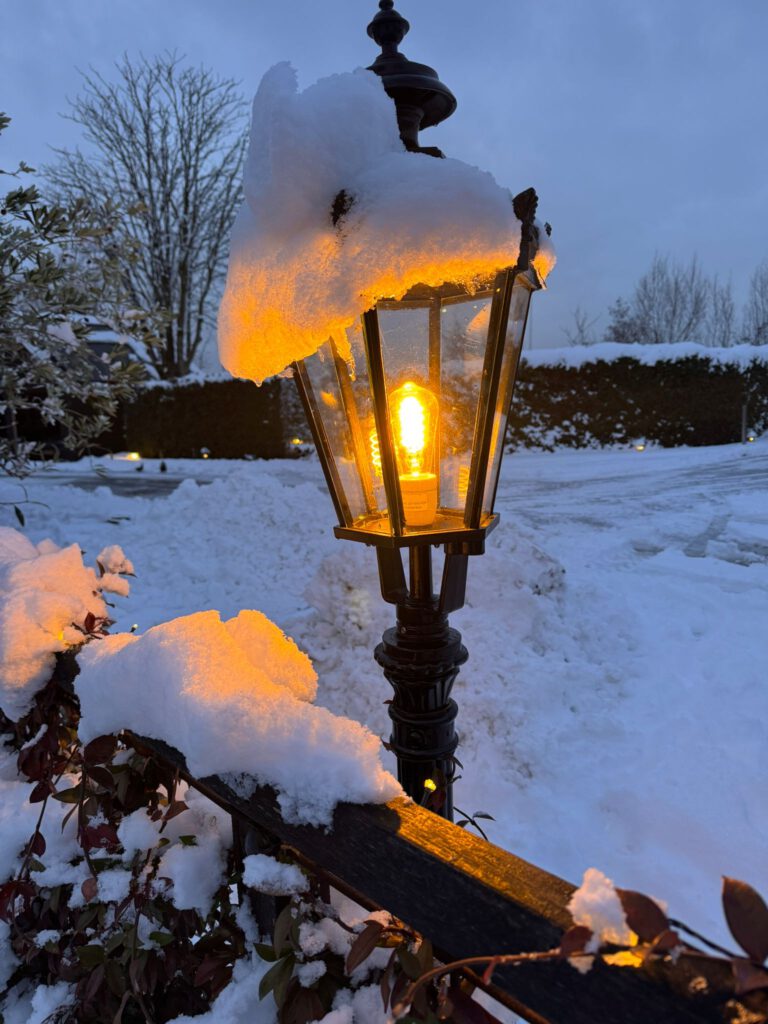 Winter 2026 Marcel's Doggyfarm