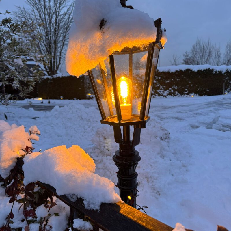 Winter 2026 Marcel's Doggyfarm