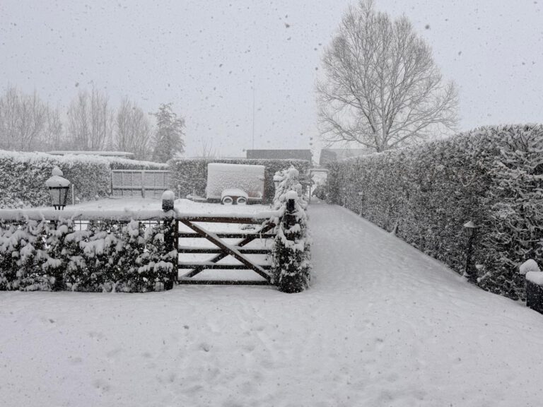 Winter 2026 Marcel's Doggyfarm